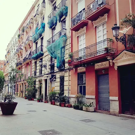 Sornells-ruzafa Valencia
